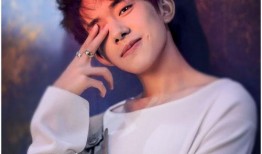 日娱圈内爆料肖战杨紫,日娱圈内爆料背后的真相